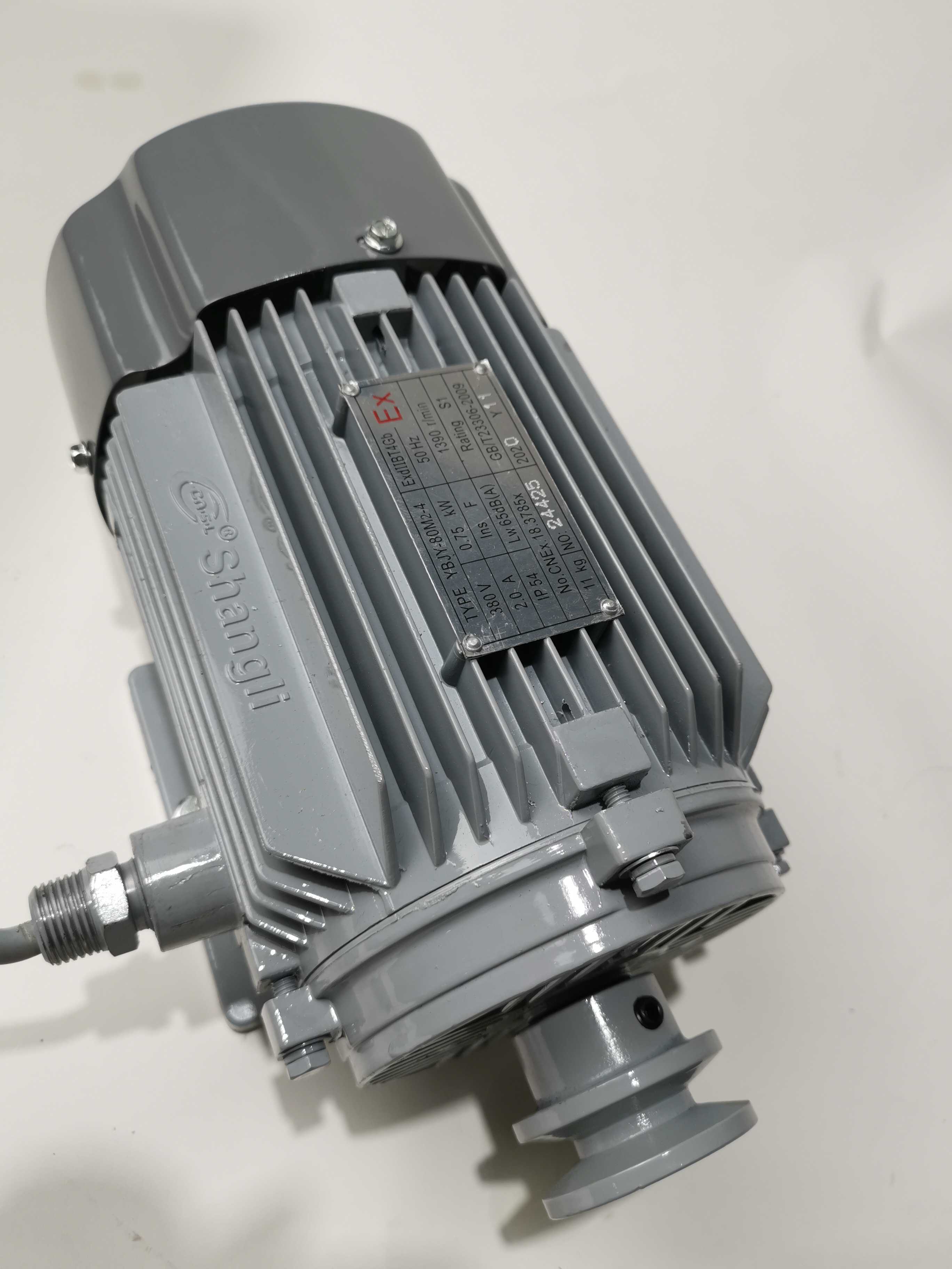 Ecotec 3 Phase Motor Atex Motor Cheap Motor For Gas Station