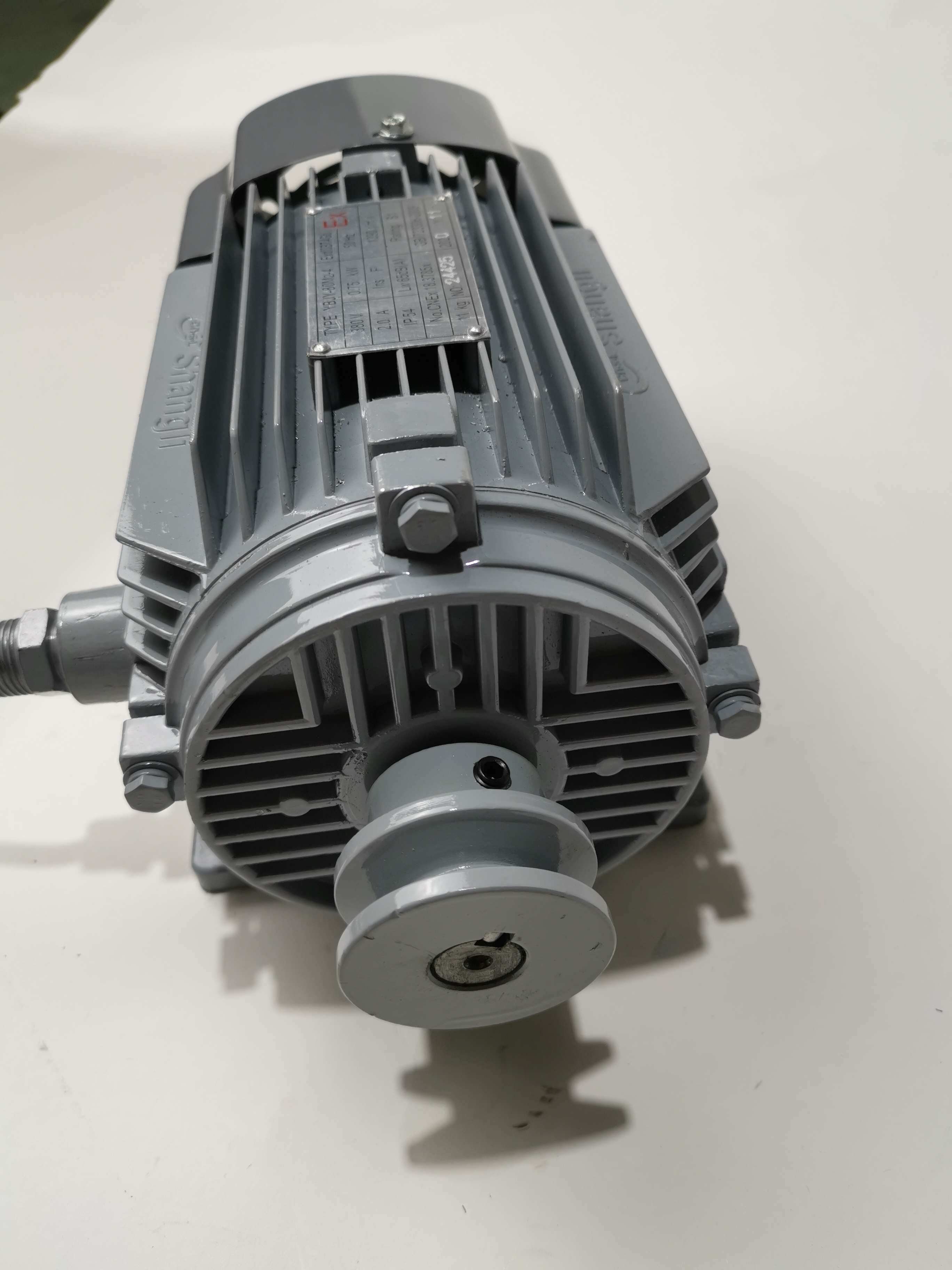 Ecotec 3 Phase Motor Atex Motor Cheap Motor For Gas Station extra image 2