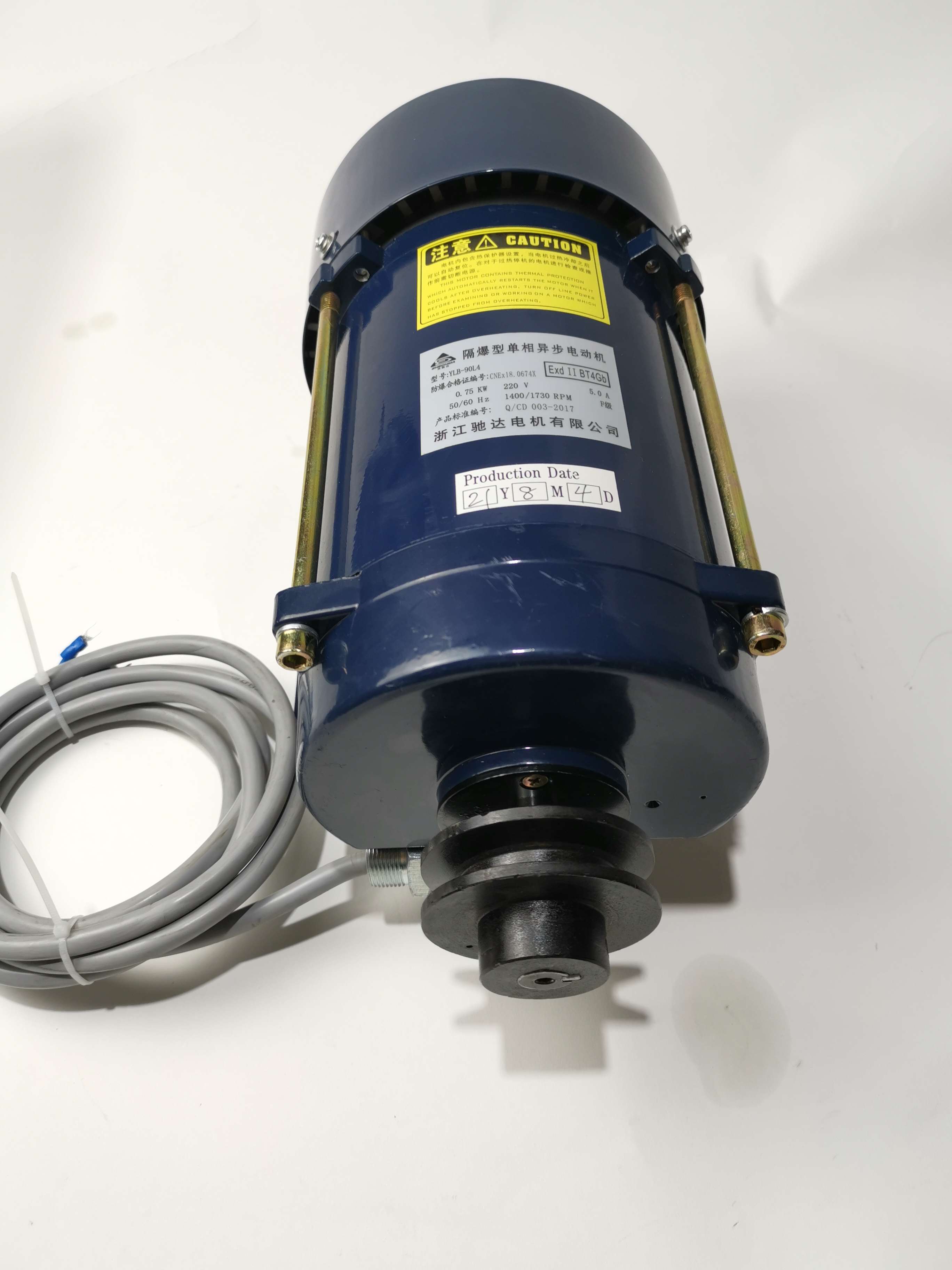 Ecotec High Quality Atex Motor Single Phase Motor For Fuel Station extra image 2