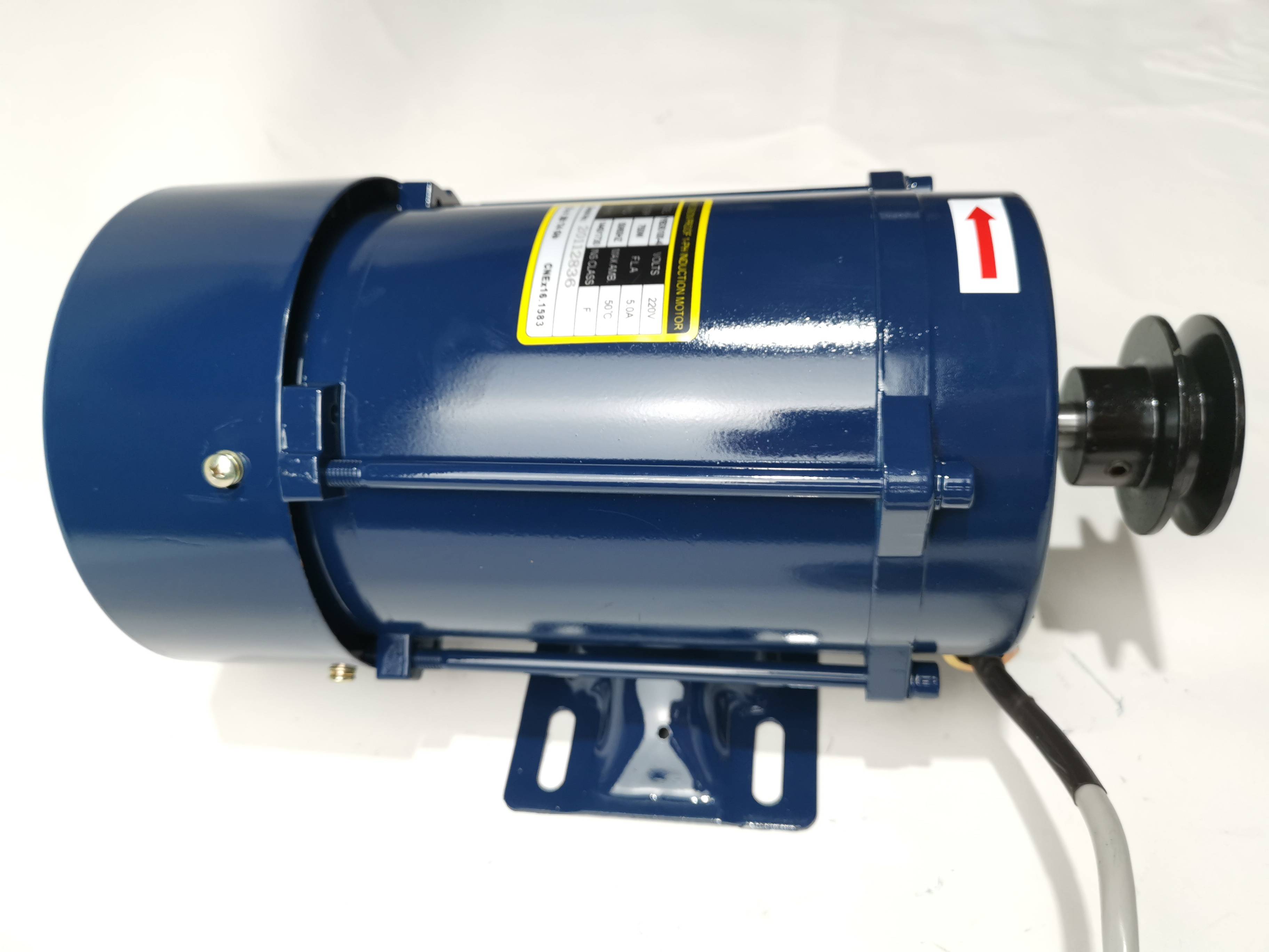 Ecotec Single Phase Motor EX Motor For Gas Station