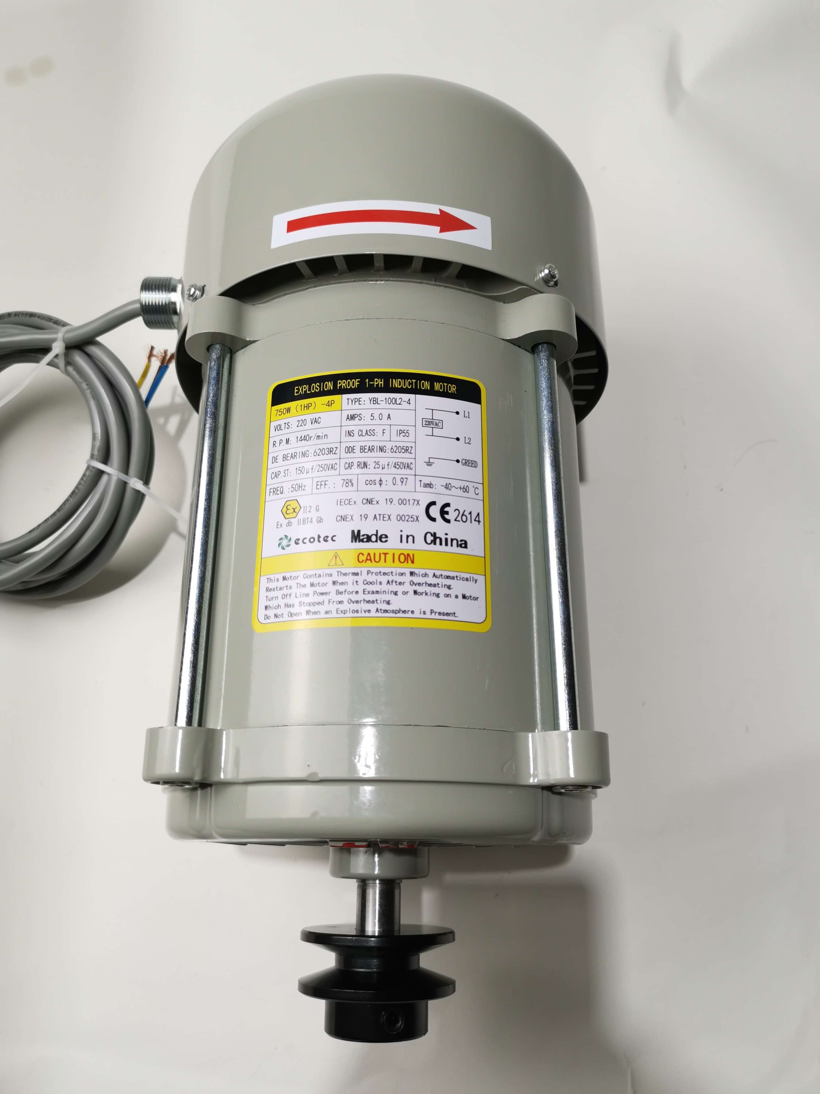 Ecotec Hot Sale 220V Grey Motor High Quality Motor for Fuel Dispenser extra image 2