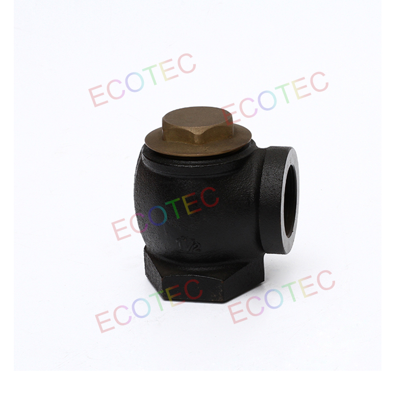Ecotec Fuel Parts 2'' Inlet Check Valve for Petrol Station Fuel Dispenser extra image 2
