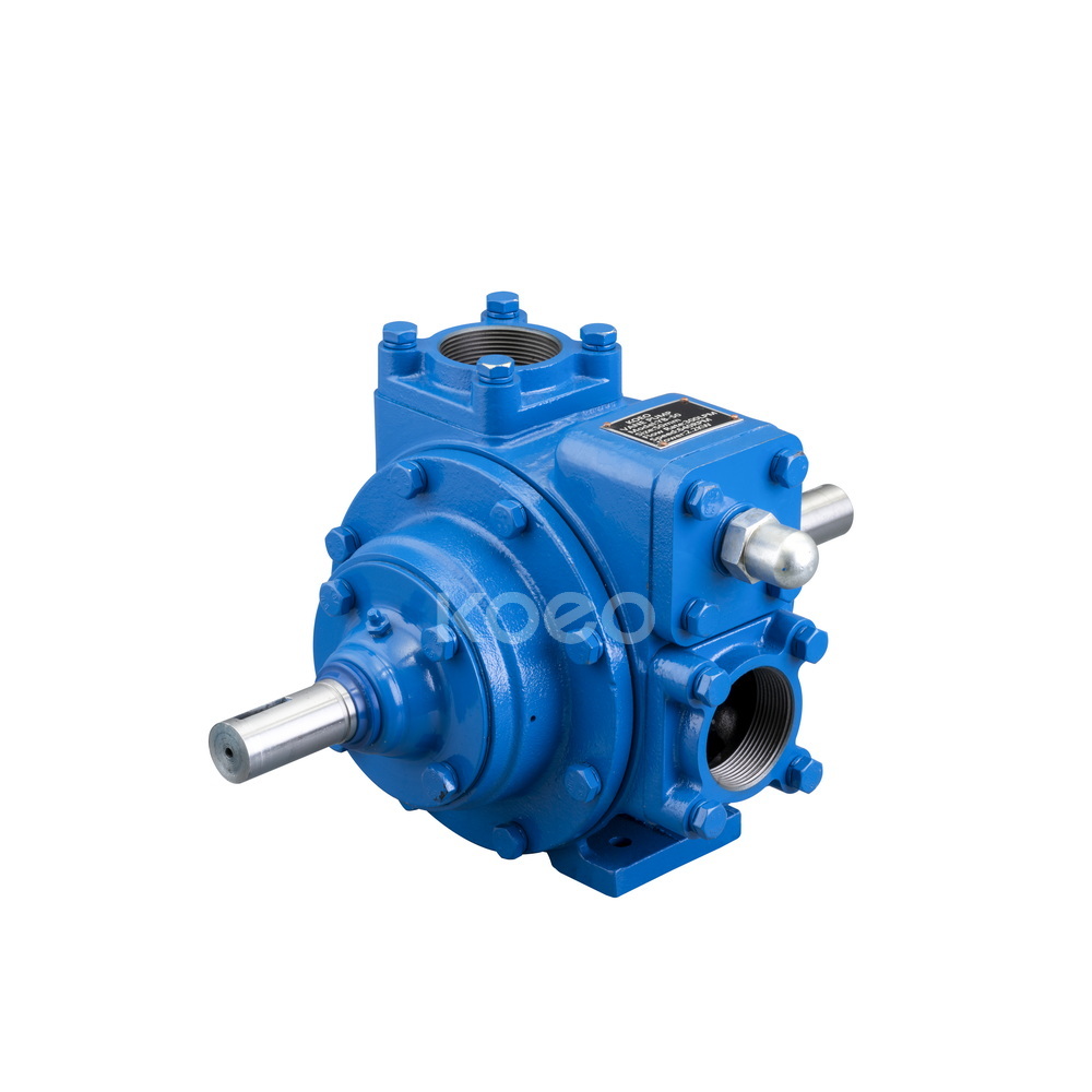 Rotary Vane  Pump