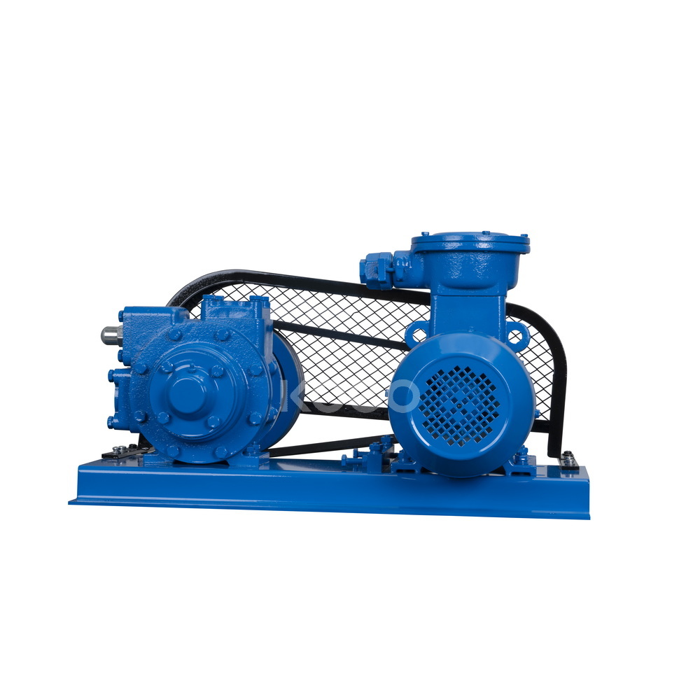V-Belt Driven Pump