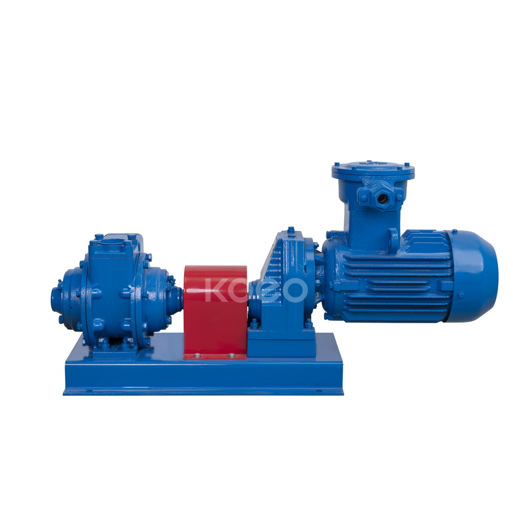 Shaft Coupling Pump