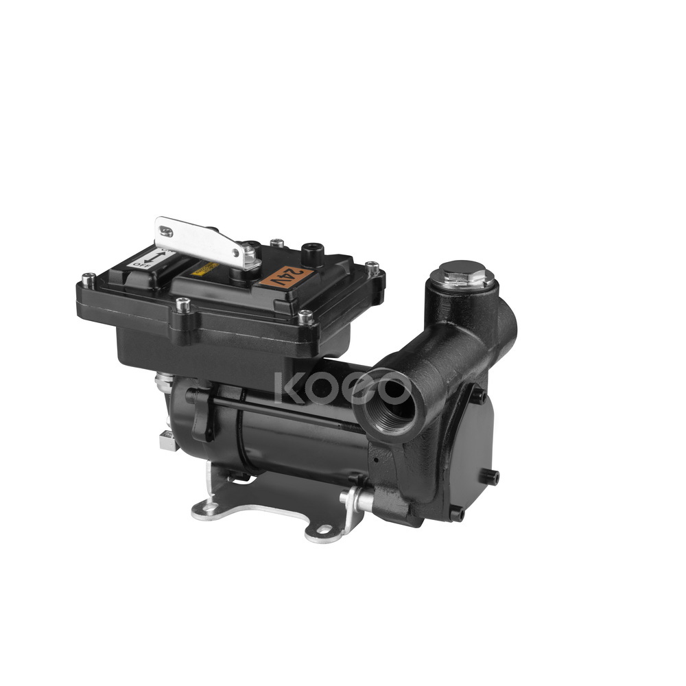 DC 12V Gasoline Pump